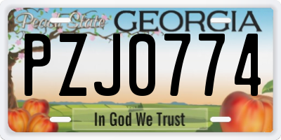 GA license plate PZJ0774