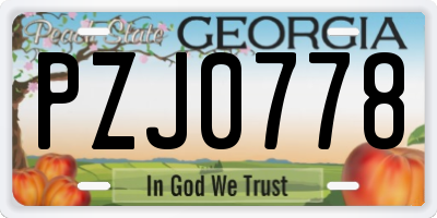 GA license plate PZJ0778
