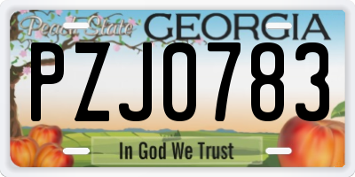 GA license plate PZJ0783