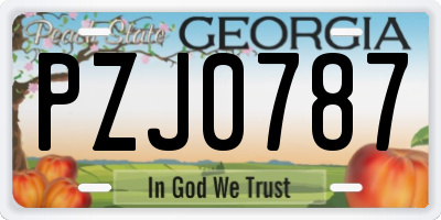 GA license plate PZJ0787