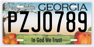 GA license plate PZJ0789