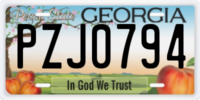 GA license plate PZJ0794