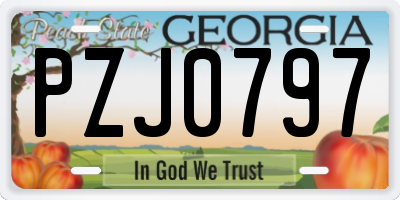 GA license plate PZJ0797