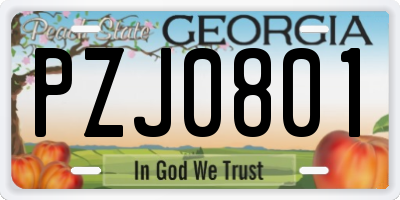 GA license plate PZJ0801