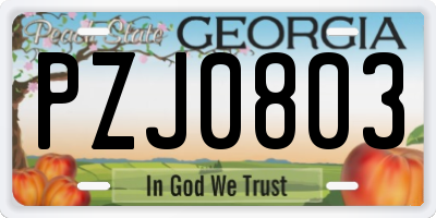 GA license plate PZJ0803