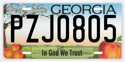 GA license plate PZJ0805