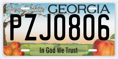 GA license plate PZJ0806