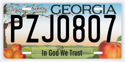 GA license plate PZJ0807