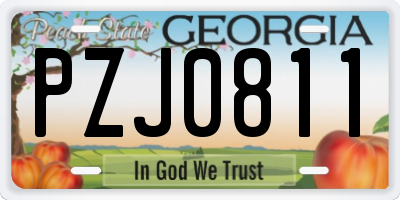 GA license plate PZJ0811