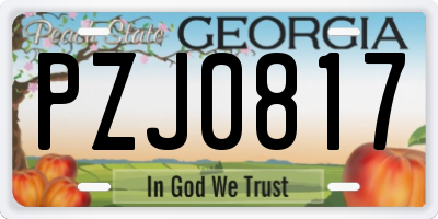 GA license plate PZJ0817