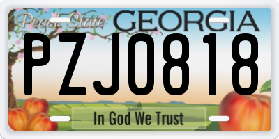 GA license plate PZJ0818