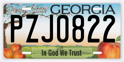 GA license plate PZJ0822