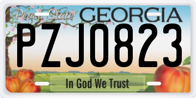 GA license plate PZJ0823