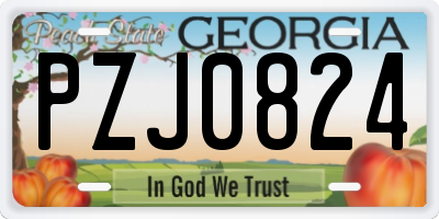 GA license plate PZJ0824