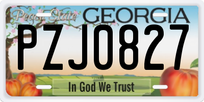 GA license plate PZJ0827