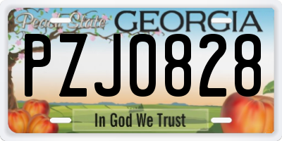 GA license plate PZJ0828