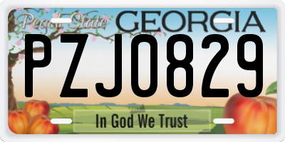 GA license plate PZJ0829