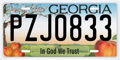 GA license plate PZJ0833