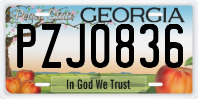 GA license plate PZJ0836