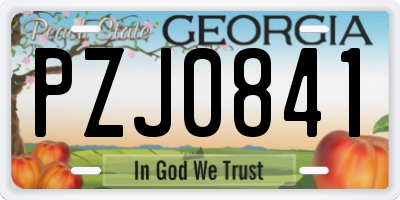 GA license plate PZJ0841