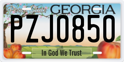 GA license plate PZJ0850