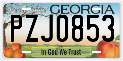 GA license plate PZJ0853