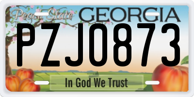 GA license plate PZJ0873