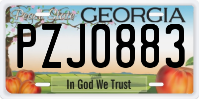 GA license plate PZJ0883