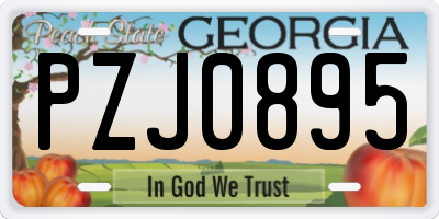 GA license plate PZJ0895