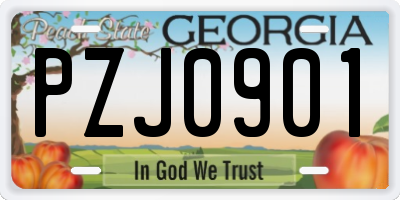 GA license plate PZJ0901