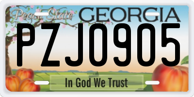 GA license plate PZJ0905