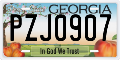 GA license plate PZJ0907