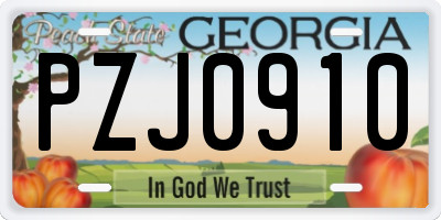 GA license plate PZJ0910