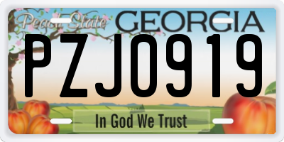 GA license plate PZJ0919