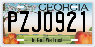 GA license plate PZJ0921
