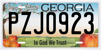 GA license plate PZJ0923