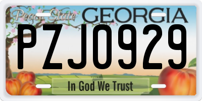GA license plate PZJ0929