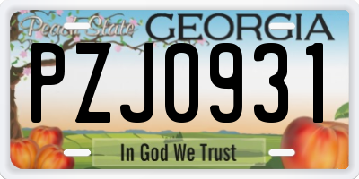 GA license plate PZJ0931