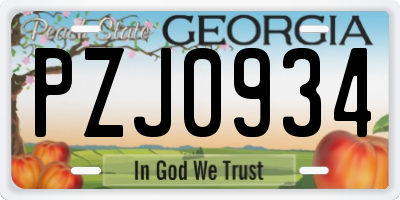 GA license plate PZJ0934