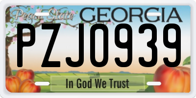 GA license plate PZJ0939