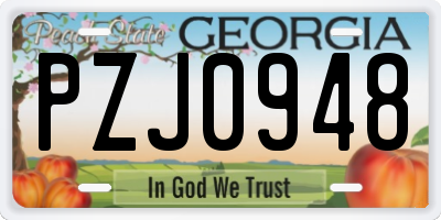 GA license plate PZJ0948