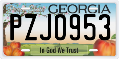 GA license plate PZJ0953