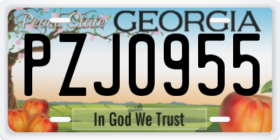 GA license plate PZJ0955