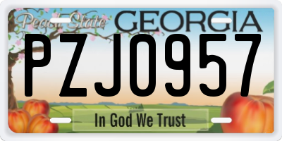 GA license plate PZJ0957