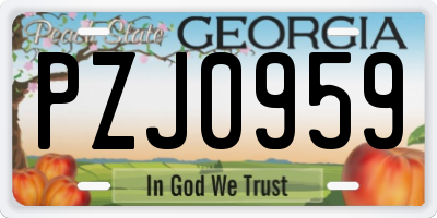 GA license plate PZJ0959