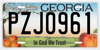 GA license plate PZJ0961