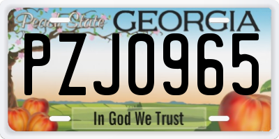 GA license plate PZJ0965