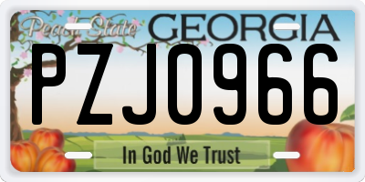 GA license plate PZJ0966