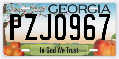 GA license plate PZJ0967