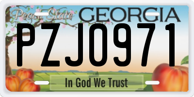GA license plate PZJ0971
